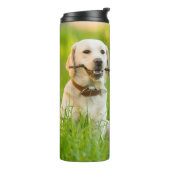 Gele labrador bespeelt zich op een stok thermosbeker (Gedraaid links)