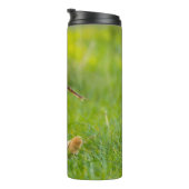 Gele labrador bespeelt zich op een stok thermosbeker (Geroteerd rechts)