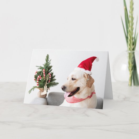GELE LABRADOR BIJ KERSTMIS Gevouwen Wenskaart Kaart (Voorkant)