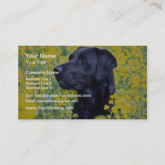 gele Labrador-bloemen Visitekaartje (Voorkant)