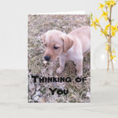 Gele Labrador denkt aan je Kaart (Gele Bloem)