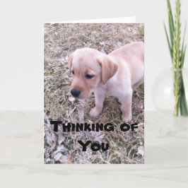 Gele Labrador denkt aan je Kaart