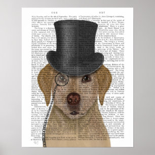 Gele labrador, Formele hond en Pet Poster