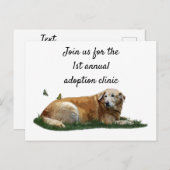 Gele labrador gemengd Briefkaart van de gebroken h (Voorkant / Achterkant)