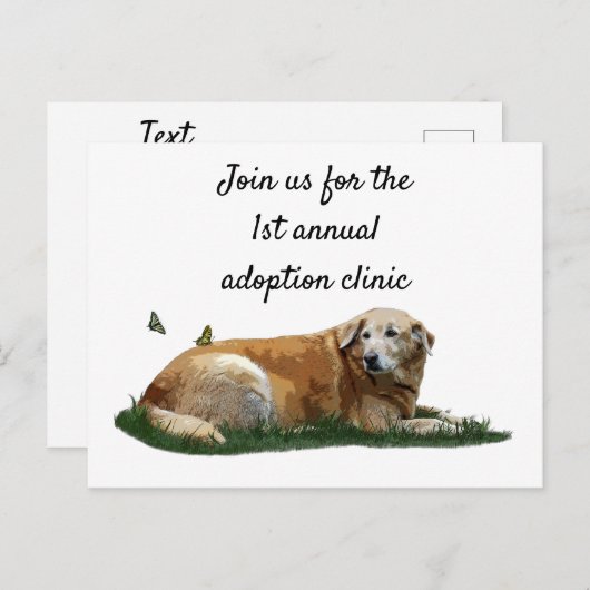 Gele labrador gemengd Briefkaart van de gebroken h (Voorkant / Achterkant)