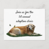 Gele labrador gemengd Briefkaart van de gebroken h (Voorkant)