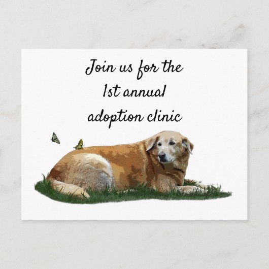 Gele labrador gemengd Briefkaart van de gebroken h (Voorkant)