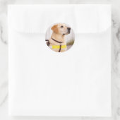 Gele Labrador Gidsenhond Afstudeer Enveloppe Zegel (Tas)