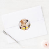 Gele Labrador Gidsenhond Afstudeer Enveloppe Zegel (Envelop)