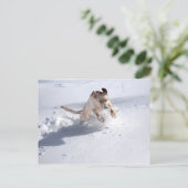Gele labrador in de sneeuw briefkaart (Staand voorkant)