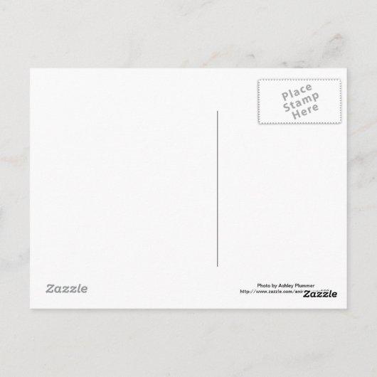 Gele labrador in de sneeuw briefkaart (Achterkant)