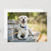 gele labrador introduceert op bank briefkaart (Voorkant / Achterkant)