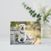 gele labrador introduceert op bank briefkaart (Staand voorkant)