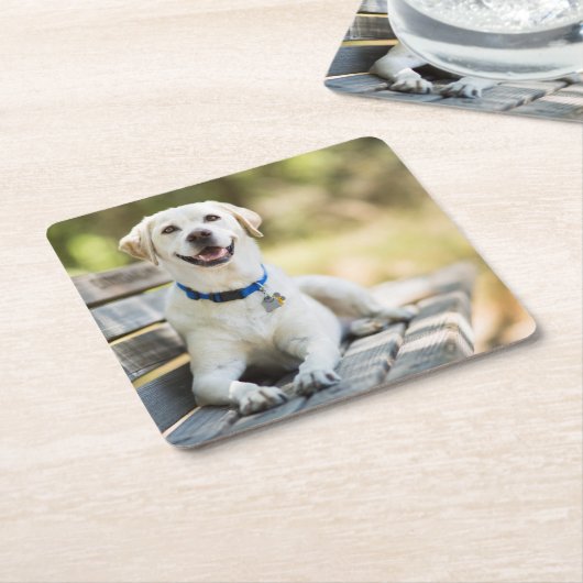 gele labrador introduceert op bank kartonnen onderzetters (Schuin)