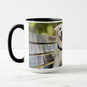 gele labrador introduceert op bank mok (Links)