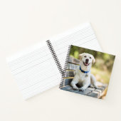 gele labrador introduceert op bank notitieboek (Binnen)