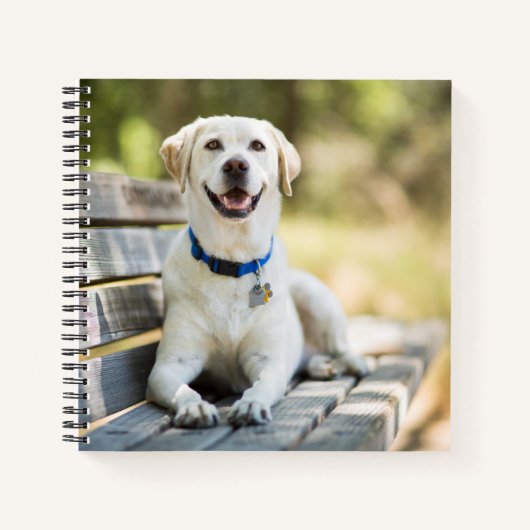 gele labrador introduceert op bank notitieboek (Voorkant)