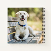 gele labrador introduceert op bank notitieboek (Achterkant)