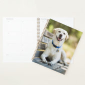 gele labrador introduceert op bank planner (Display)