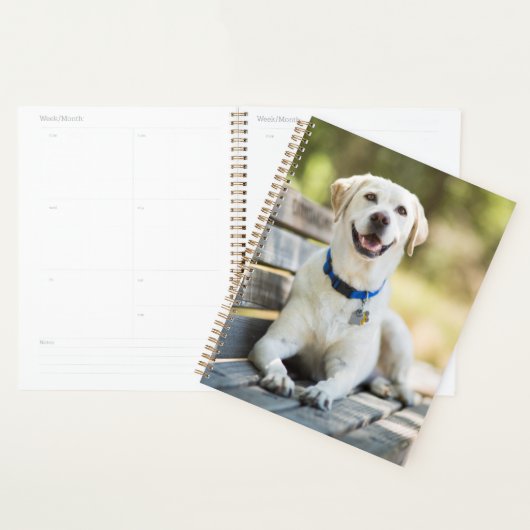 gele labrador introduceert op bank planner (Display)