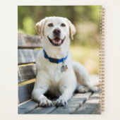 gele labrador introduceert op bank planner (Achterkant)