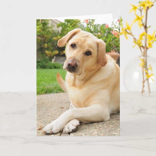 Gele Labrador Kaart (Gele Bloem)