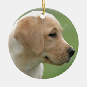 Gele labrador-kapper keramisch ornament