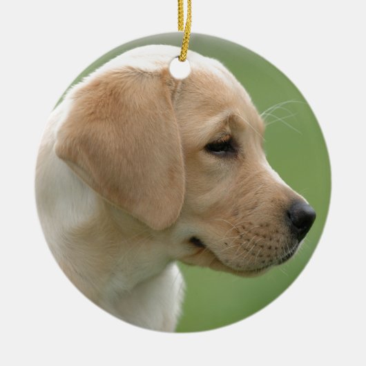 Gele labrador-kapper keramisch ornament (Voorkant)