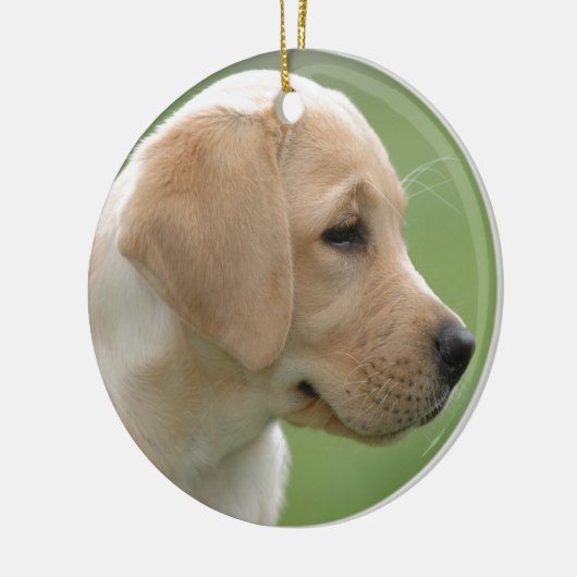 Gele labrador-kapper keramisch ornament (Links)