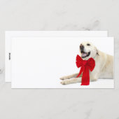 Gele labrador Kerstmis Feestdagenkaart (Voorkant / Achterkant)