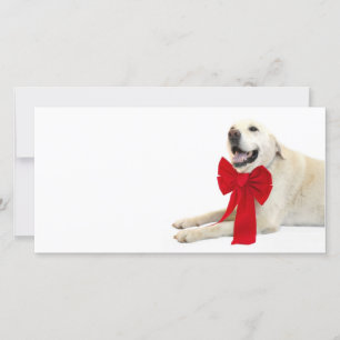 Gele labrador Kerstmis Feestdagenkaart