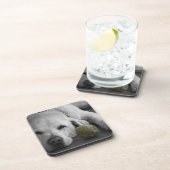 Gele labrador met oud tennisbal drankjes onderzetter (Rechterzijde)