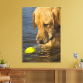 Gele labrador met tennisbal in het water canvas afdruk (Insitu (Woonkamer))