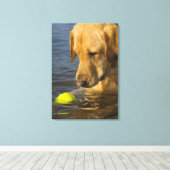 Gele labrador met tennisbal in het water canvas afdruk (Insitu (Houten vloer))