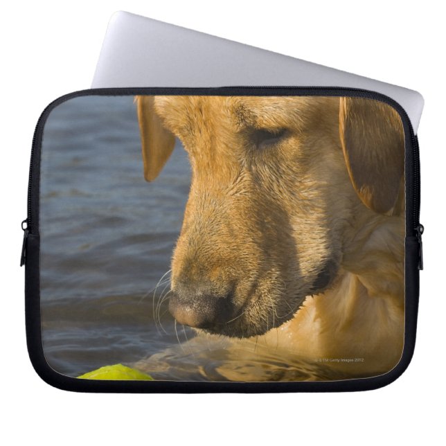 Gele labrador met tennisbal in het water laptop sleeve (Voorkant)
