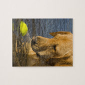 Gele labrador met tennisbal in het water legpuzzel (Horizontaal)