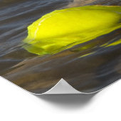 Gele labrador met tennisbal in het water poster (Hoek)