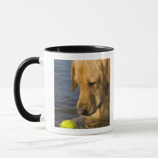 Gele labrador met tennisbal in water mok (Links)