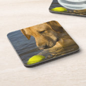Gele labrador met tennisbal in water onderzetter (Linkerzijde)