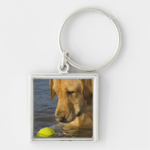Gele labrador met tennisbal in water sleutelhanger