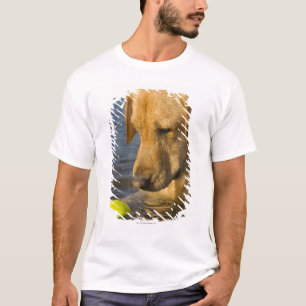 Gele labrador met tennisbal in water t-shirt
