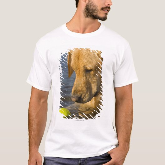 Gele labrador met tennisbal in water t-shirt (Voorkant)
