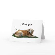 Gele labrador Mixed Breed Dog Hartelijk dank