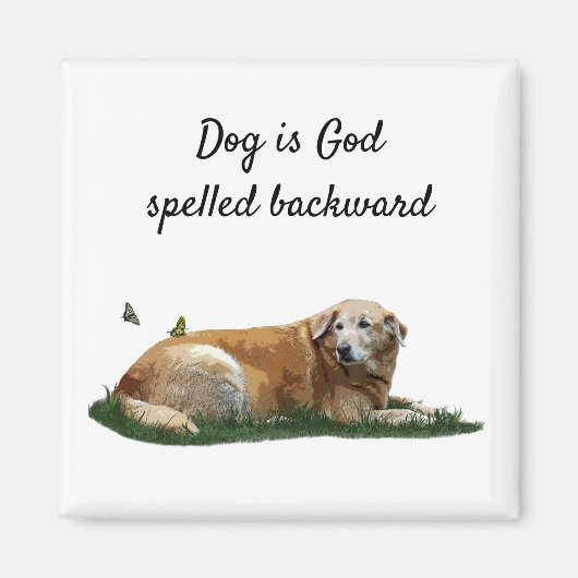 Gele labrador Mixed Breed Dog Magnet (Voorkant)