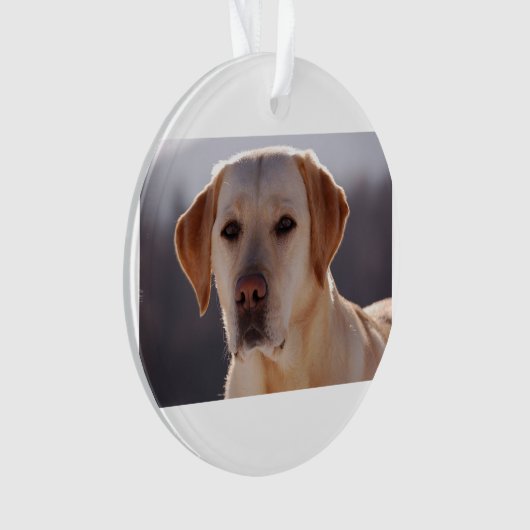 gele labrador ornament (voorkant)