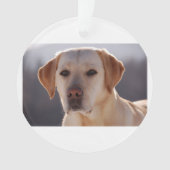 gele labrador ornament (voorkant)