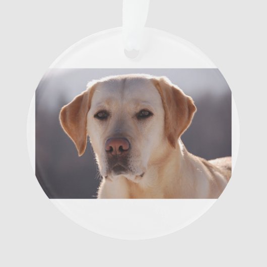 gele labrador ornament (voorkant)