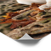 Gele labrador puppy in het najaar poster (Hoek)