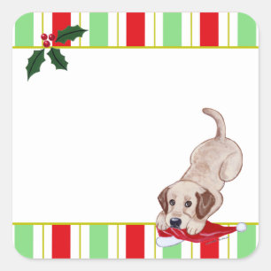 Gele Labrador Puppy & Santa Hat Kerstmis Vierkante Sticker