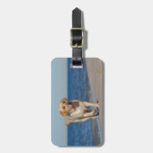 Gele labrador recovery op het strand bagagelabel (Voorkant verticaal)